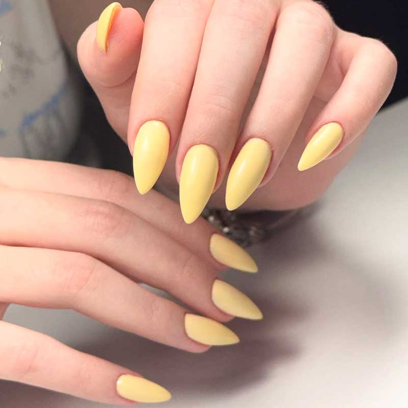 Gel Builder Fill-ins Different Colors Gel Builder Fill-ins Different Colors