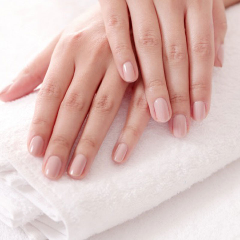 Shellac Manicure Shellac Manicure